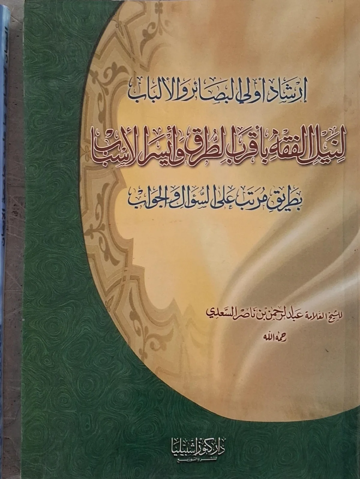 غلاف كتاب إرشاد أولي البصائر والألباب لنيل الفقه بأقرب الطرق وأيسر الأسباب بطريق مرتب على السؤال والجواب